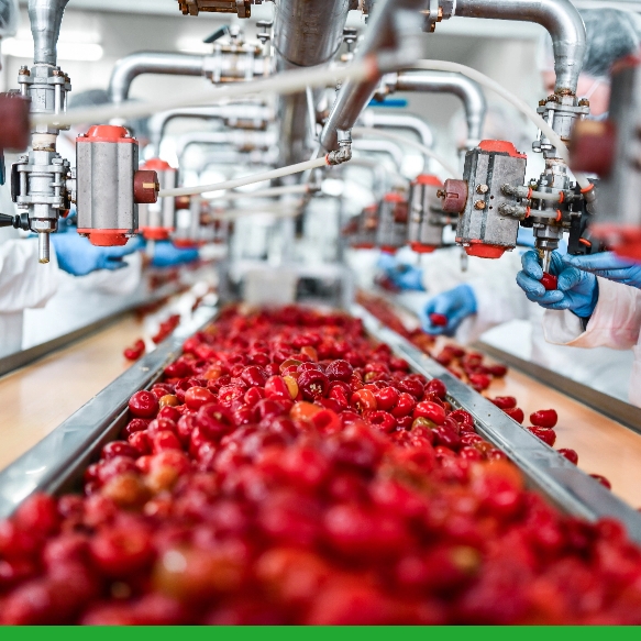 Manufacturing & Products